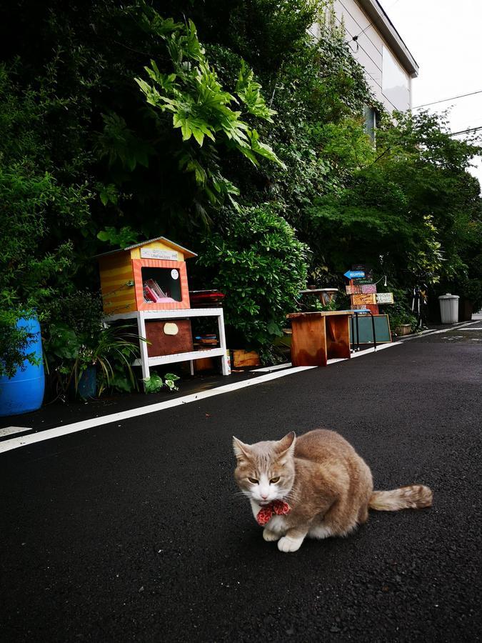 Air Osaka Hostel Luaran gambar